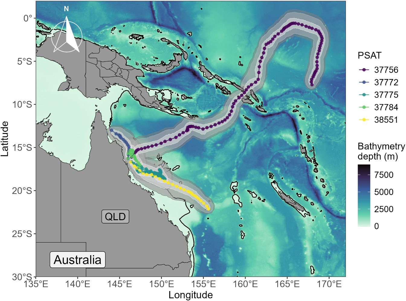2025 satellite tag movement tracks for giant black marlin in the Coral Sea